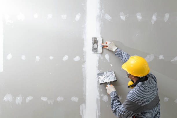 Best Comprehensive Air Testing for Mold Contaminants  in Listoga, CA