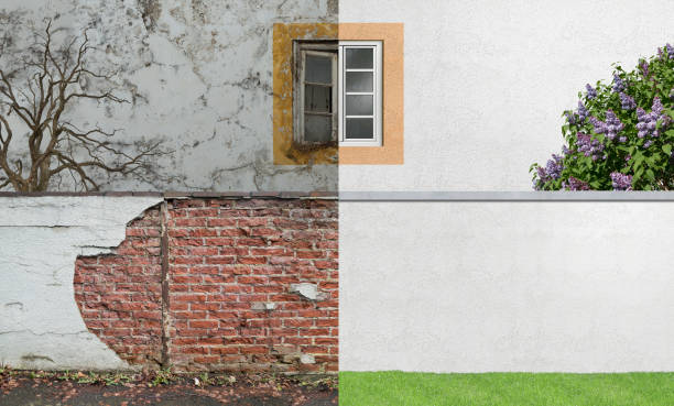 Best Mold Remediation for Healthcare Facilities  in Listoga, CA