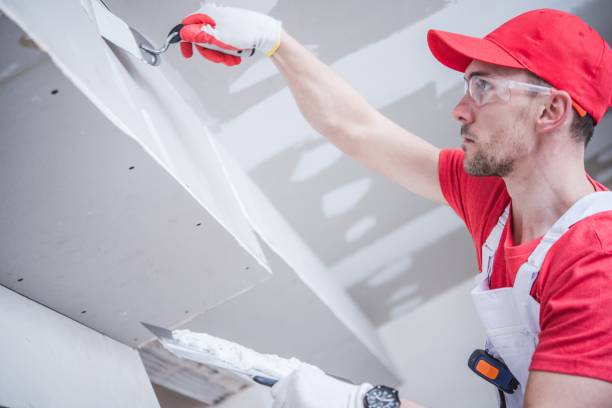 Best Forensic Mold Investigation  in Listoga, CA