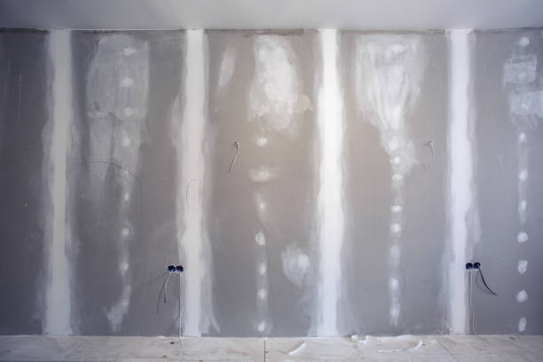 Best Asbestos and Lead Testing During Mold Inspection  in Listoga, CA
